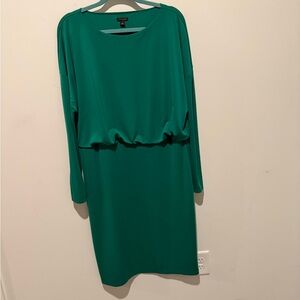 Ann Taylor Emerald Long Sleeve Dress
